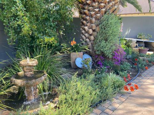 a garden with a fountain and some plants at Time & Again in Ceres