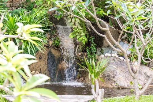 a waterfall in a garden with plants at Crystal Bay Yacht Club Beach Resort in Lamai