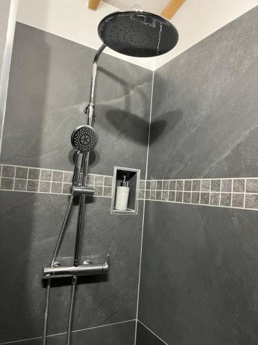 a shower with a shower head in a bathroom at Bungalow et jacuzzi privatifs in La Possession