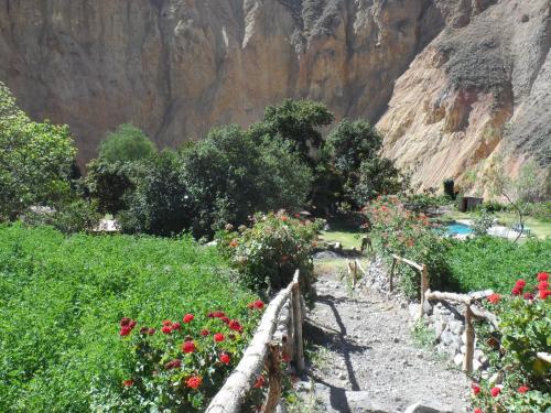 a garden with flowers and a mountain in the background at Oasis Paraiso Ecolodge in Cabanaconde