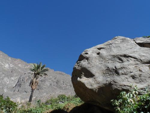 a large rock with a palm tree in the background at Oasis Paraiso Ecolodge in Cabanaconde
