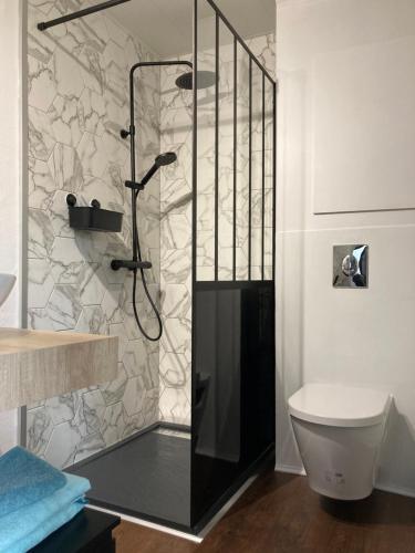 une cabine de douche dans une salle de bain avec toilettes dans l'établissement Le cottage de Christine, à Vresse-sur-Semois