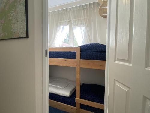 a group of bunk beds in a room at Vakantiehuis Das in Hulshorst