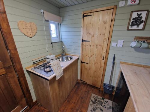 a bathroom with a sink and a wooden door at Stunning 1-Bed shepherd hut in Holyhead in Holyhead