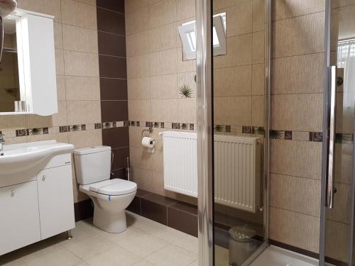 a bathroom with a toilet and a sink and a shower at Resting House in Braşov