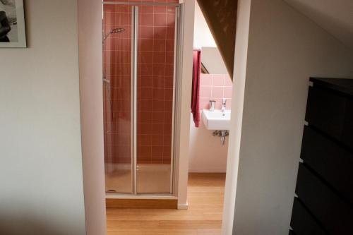a bathroom with a glass shower and a sink at B&B Moensberg in Brussels