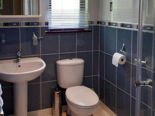 a bathroom with a toilet and a sink at Assynt Chalet - Uk30806 in Lochinver