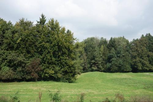 a lush green field with trees in the background at Hotel Frauenfeld in Frauenfeld