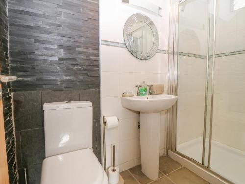 a bathroom with a toilet and a sink and a shower at Y Castell Apartment 3 in Porthmadog