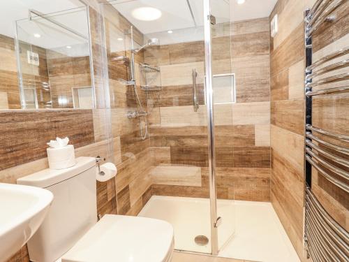 a bathroom with a shower and a toilet at Woodloft Cottage in Elterwater