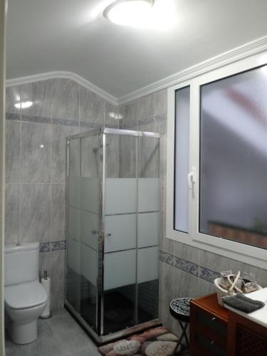 a bathroom with a shower and a toilet and a sink at Mundaka Vista Mar L-BI-52 in Mundaka