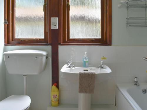a bathroom with a sink and a toilet and windows at Trevithick Lodge in Hayle