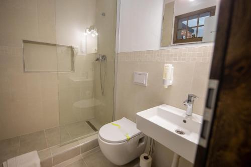 a bathroom with a toilet and a sink and a shower at ANTICA RESIDENZA TOSCANA in Dumbrăviţa