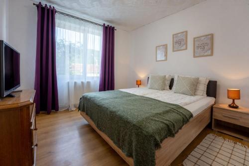 a bedroom with a large bed and a television at Nya Apartment in Sighişoara