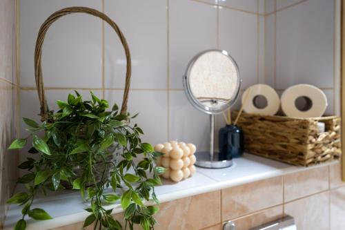 a bathroom counter with a mirror and a plant at Nya Apartment in Sighişoara