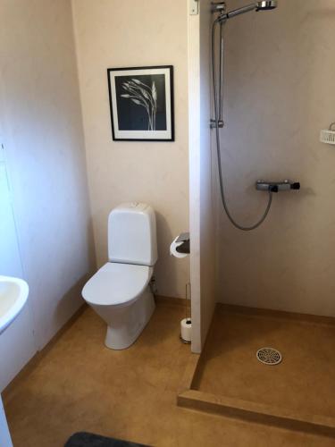 a bathroom with a toilet and a shower at Sävekulla 208 "Lillekulla" in Sävekulla