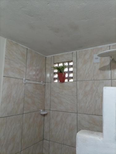 a bathroom with a shower with a potted plant in it at pôr do sol - chalés in São Miguel do Gostoso