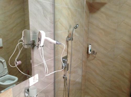 a shower with a phone and a toilet in a bathroom at Hotel Green in Tirana