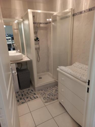 a bathroom with a shower and a toilet and a sink at Appartement offrant une magnifique vue des montagnes in Saint-Léger-les-Mélèzes