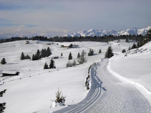 a snow covered field with tracks in the snow at Hotel Rosenheim in Rodengo
