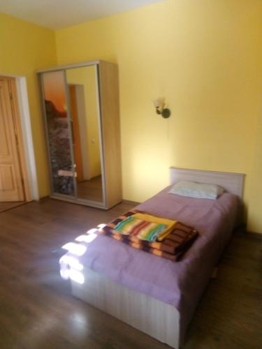 a bedroom with a bed and a large mirror at Vecais cels 25C in Jelgava