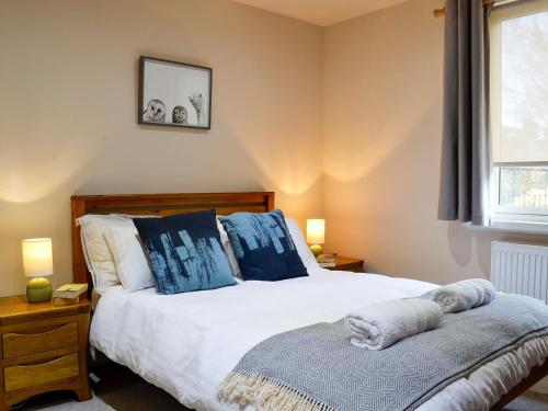 a bedroom with a bed with blue pillows and a window at Birch Tree Cottage in Edzell