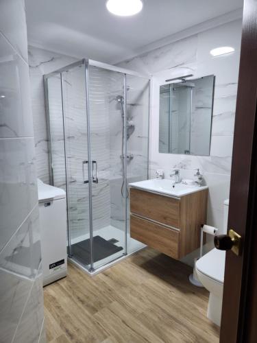 a bathroom with a shower and a sink and a toilet at Estudio con vistas a la ciudad in Ourense