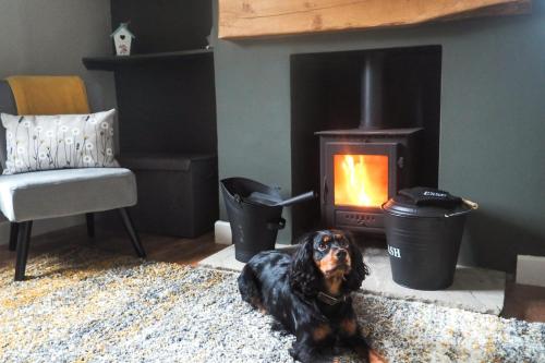 a dog sitting on the floor in front of a fireplace at Large Cottage, Beach, Pubs Shops, Netflix, BBQ, Dog Friendly in Hunmanby