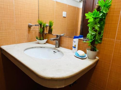a bathroom sink with two potted plants on it at Entire 1 BR Apartment: Netflix, Youtube. in Islamabad