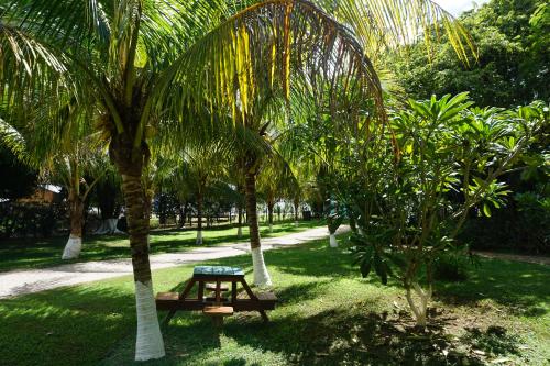 a picnic table in a park with palm trees at Mana Kai Camping & Cabins in San Ignacio