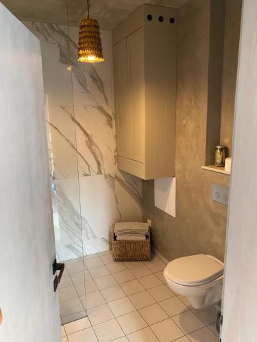 a bathroom with a toilet and a glass shower at Empero Apartments Bardejov 1 in Bardejov