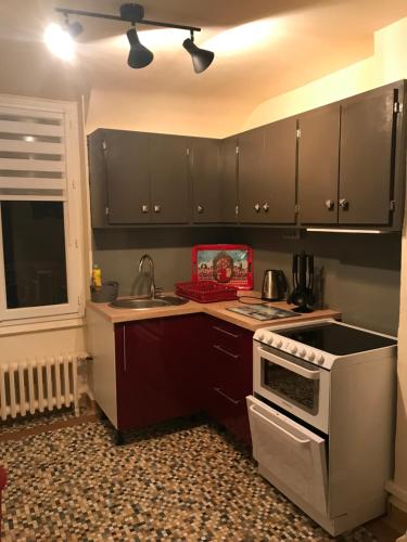 La cuisine est équipée de placards noirs et d'un four avec plaques de cuisson blanches. dans l'établissement La Residence 2, à Le Mont-Dore