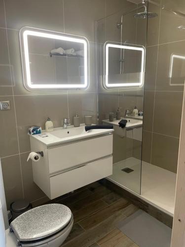 a bathroom with a toilet and a sink and a mirror at Superbe maison Tout Confort Parking Netflix 