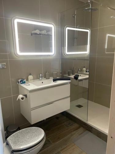 a bathroom with a toilet and a sink and a mirror at Superbe maison Tout Confort Parking Netflix in Ascoux