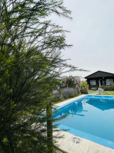 una grande piscina blu accanto ad un albero di Cabaña La América a Ezeiza