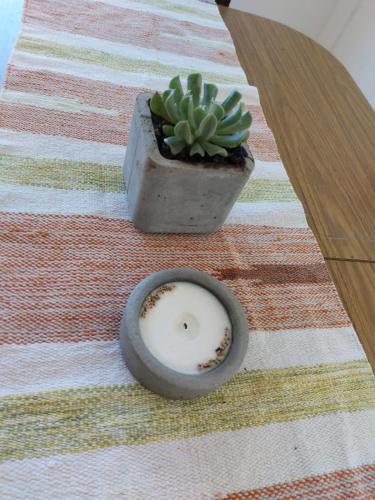a cactus in a pot sitting on a table at Laprida in Curuzú Cuatiá