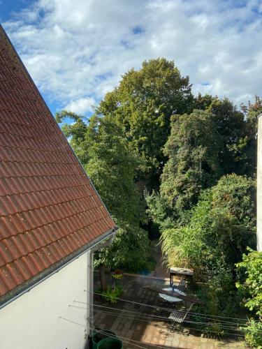 a view from a roof of a house with trees at Birnbom Warnemünde in Warnemünde