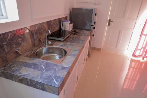 eine Küche mit einer Spüle und einer Arbeitsplatte in der Unterkunft The garden gate resort & apartments no 3 in Negombo