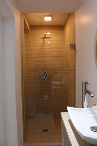 a shower with a glass door next to a sink at London 248 in Mexico City