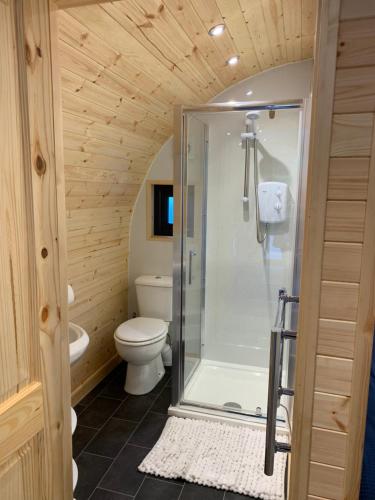 a bathroom with a toilet and a glass shower at Loch Ness Woodland Pods in Drumnadrochit