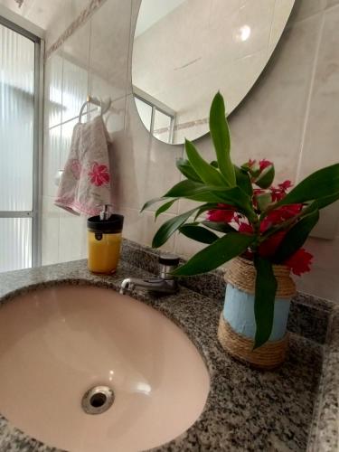 lavabo con planta y espejo en Hostel 7 praias, en Ubatuba