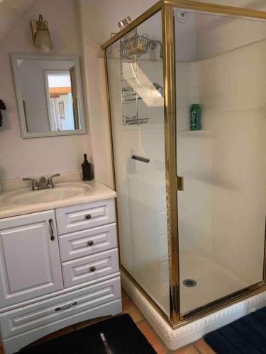 a bathroom with a shower and a sink at The Roost Apartment SEDONA'S MOST LOVED in Sedona