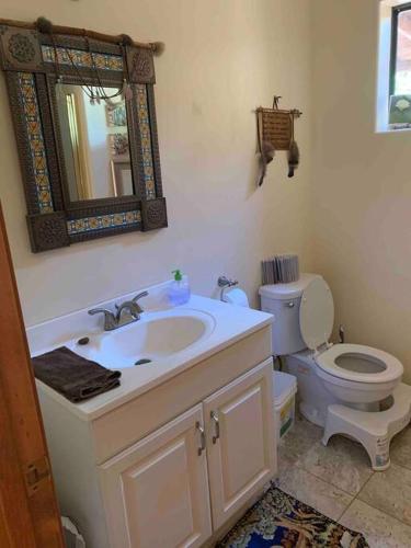 a bathroom with a sink and a toilet and a mirror at The Roost Apartment SEDONA'S MOST LOVED in Sedona