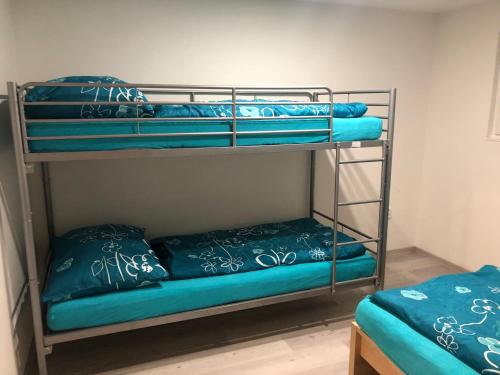 2 literas en una habitación con almohadas azules en Ubytování Křtiny en Křtiny
