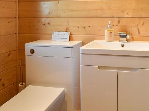 een badkamer met een toilet en een wastafel bij Oak Lodge - Uk30005 in Lindal in Furness