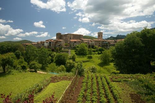 Imagen de la galería de Apartaments Plaça Major, en Santa Pau