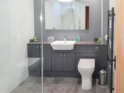 a bathroom with a sink and a toilet and a mirror at Trebor Cottage in Annan