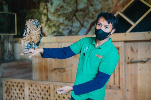 a man with a mask on his face holding a bird at Grand Tjokro Premiere Bandung in Bandung
