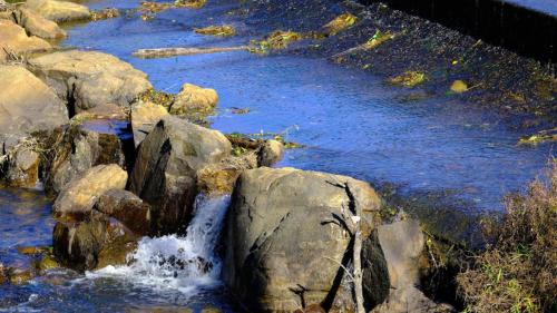 a stream of water flowing over rocks in a river at Longford Faulkland in Gloucester