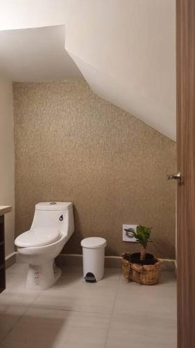 a bathroom with a toilet and a potted plant at CASA YEYI in La Paz
